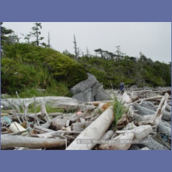 2005_1964_Kingkown_Inlet_Banks_Island.html