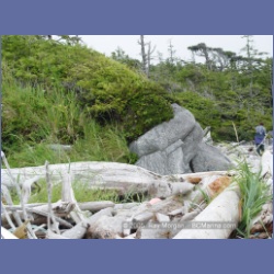 2005_1965_Kingkown_Inlet_Banks_Island.html
