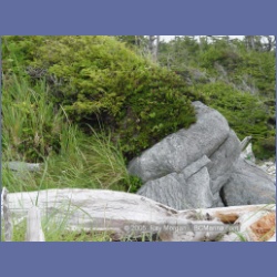 2005_1966_Kingkown_Inlet_Banks_Island.html