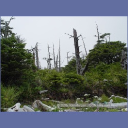 2005_1967_Kingkown_Inlet_Banks_Island.html