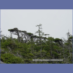 2005_1969_Kingkown_Inlet_Banks_Island.html
