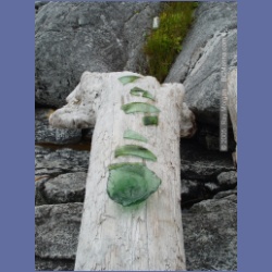 2005_1970_Kingkown_Inlet_Banks_Island.html