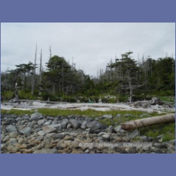 2005_1972_Kingkown_Inlet_Banks_Island.html