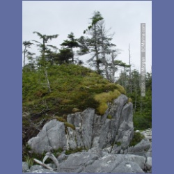 2005_1974_Kingkown_Inlet_Banks_Island.html