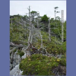 2005_1977_Kingkown_Inlet_Banks_Island.html