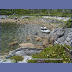 2005_1986_Kingkown_Inlet_Banks_Island.html