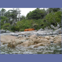 2005_1994_Kingkown_Inlet_Banks_Island.html