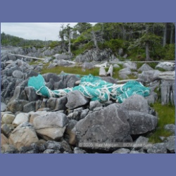 2005_1997_Kingkown_Inlet_Banks_Island.html