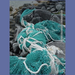 2005_2000_Kingkown_Inlet_Banks_Island.html