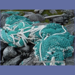 2005_2001_Kingkown_Inlet_Banks_Island.html