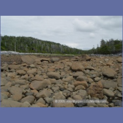 2005_2006_Kingkown_Inlet_Banks_Island.html