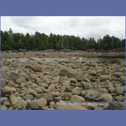 2005_2008_Kingkown_Inlet_Banks_Island.html