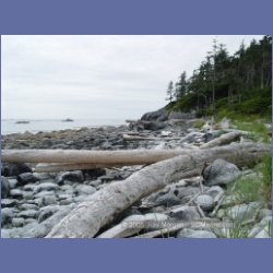 2005_2009_Kingkown_Inlet_Banks_Island.html