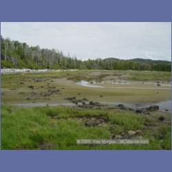 2005_2013_Kingkown_Inlet_Banks_Island.html