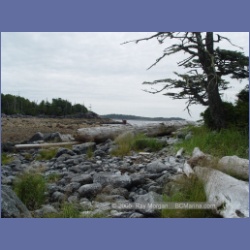 2005_2016_Kingkown_Inlet_Banks_Island.html