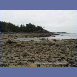 2005_2021_Kingkown_Inlet_Banks_Island.html