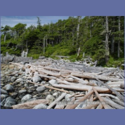 2005_2026_Kingkown_Inlet_Banks_Island.html