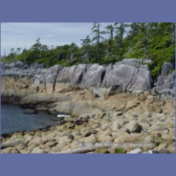 2005_2027_Kingkown_Inlet_Banks_Island.html