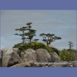 2005_2032_Kingkown_Inlet_Banks_Island.html