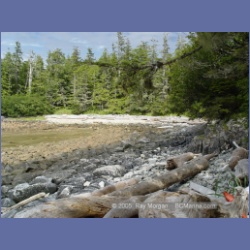 2005_2040_Kingkown_Inlet_Banks_Island.html