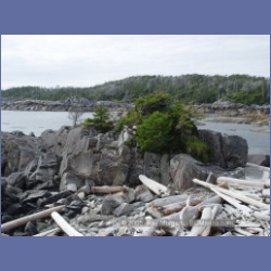 2005_2043_Kingkown_Inlet_Banks_Island.html