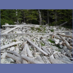 2005_2047_Kingkown_Inlet_Banks_Island.html