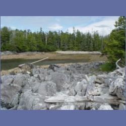 2005_2048_Kingkown_Inlet_Banks_Island.html