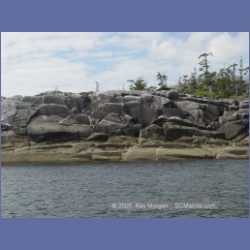 2005_2051_Kingkown_Inlet_Banks_Island.html
