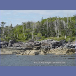 2005_2052_Kingkown_Inlet_Banks_Island.html