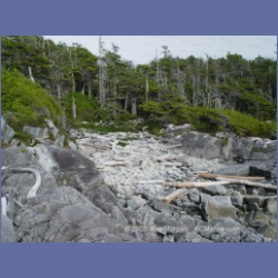 2005_2058_Kingkown_Inlet_Banks_Island.html