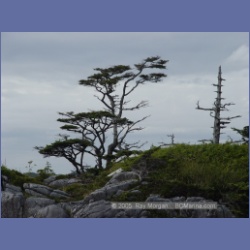 2005_2061_Kingkown_Inlet_Banks_Island.html