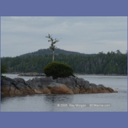 2005_2065_Kingkown_Inlet_Banks_Island.html