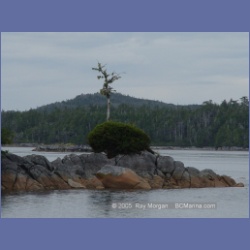 2005_2066_Kingkown_Inlet_Banks_Island.html