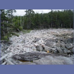 2005_2072_Kingkown_Inlet_Banks_Island.html