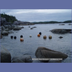 2005_2077_Kingkown_Inlet_Banks_Island.html