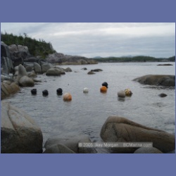 2005_2078_Kingkown_Inlet_Banks_Island.html