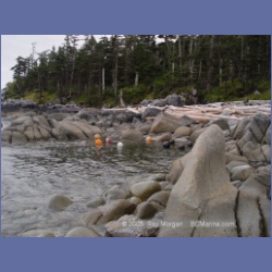 2005_2079_Kingkown_Inlet_Banks_Island.html