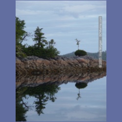 2005_2086_Kingkown_Inlet_Banks_Island.html