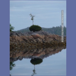 2005_2087_Kingkown_Inlet_Banks_Island.html