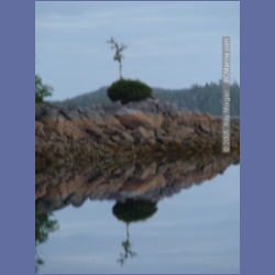 2005_2088_Kingkown_Inlet_Banks_Island.html