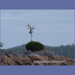 2005_2091_Kingkown_Inlet_Banks_Island.html