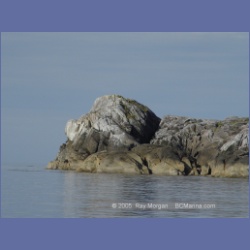 2005_2095_Kingkown_Inlet_Banks_Island.html