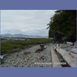 2003_4506_Kitasoo_Bay.html