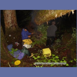 2003_4512_Kitasoo_Bay.html