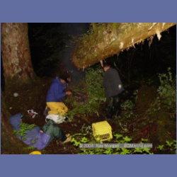 2003_4513_Kitasoo_Bay.html