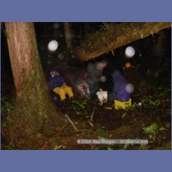 2003_4514_Kitasoo_Bay.html
