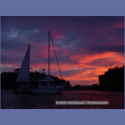 2005_1716_Cessford_Islands_Kitkatla_Inlet.html