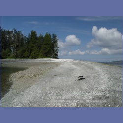 2005_1756_Cessford_Islands_Kitkatla_Inlet.html