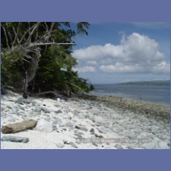 2005_1760_Cessford_Islands_Kitkatla_Inlet.html