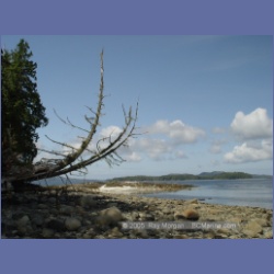 2005_1768_Cessford_Islands_Kitkatla_Inlet.html